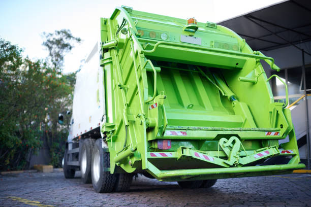 Best Yard Cleanup Services  in Rio Rancho, NM